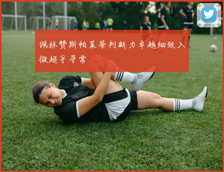 佩林赞斯帕莱蒂判断力卓越细致入微超乎寻常