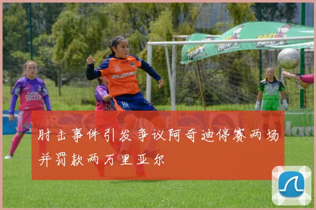 肘击事件引发争议阿奇迪停赛两场并罚款两万里亚尔