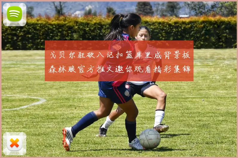 戈贝尔狂砍八记扣篮库里成背景板森林狼官方推文邀你观看精彩集锦